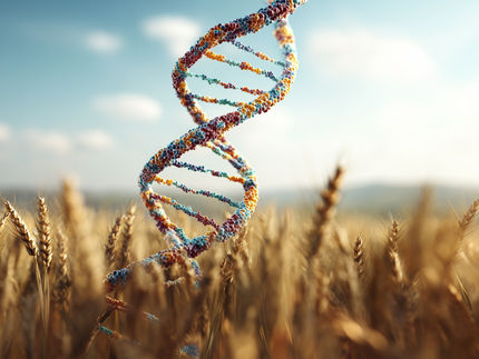 Cytotrait obtient un financement de démarrage de 3 millions de livres sterling pour s'attaquer à la sécurité alimentaire mondiale et à l'agriculture durable