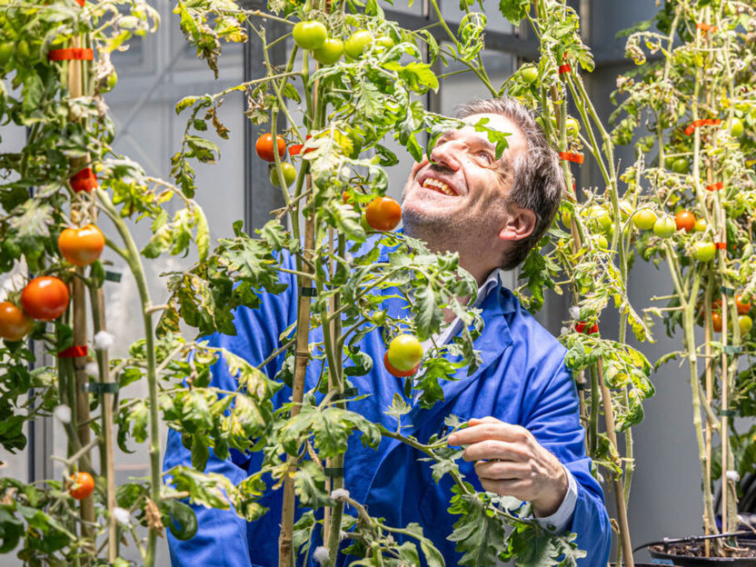 Michael Spiegelhalter / Universität Freiburg