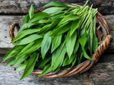 Alho selvagem: cuidado com a confusão