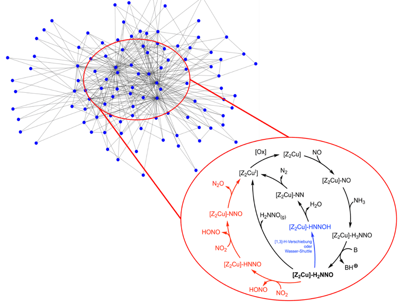 Adapted from Fig. 3 from DOI: 10.1002/ange.202514074