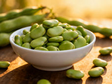 Equipa de investigação consegue um avanço na criação de favas resistentes ao inverno