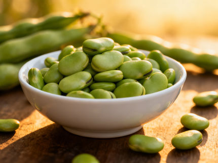 Equipa de investigação consegue um avanço na criação de favas resistentes ao inverno