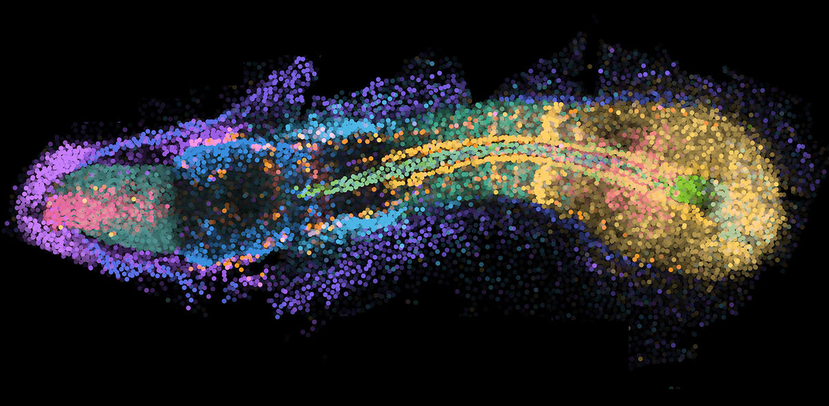 Yinan Wan, Biozentrum, Universität Basel