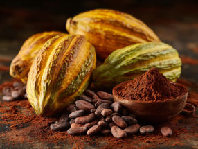 Amazonas-Kakao könnte zum Superfood werden