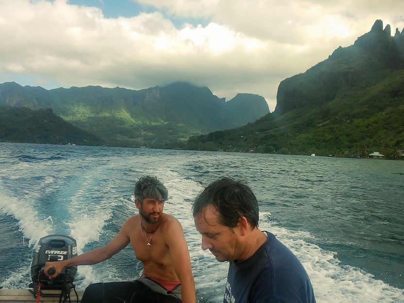 No patch of the world's oceans without human chemicals