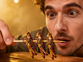 Men are more likely to eat insects than women
