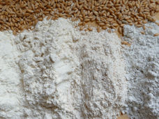 La investigación busca un pan más respetuoso con el clima sin merma de la calidad