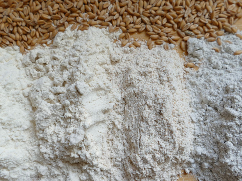 La ricerca mira a rendere il pane più rispettoso del clima senza compromettere la qualità - Il progetto FutureWheat mira a dimostrare come i prodotti da forno possano essere realizzati anche con cereali meno fertilizzati