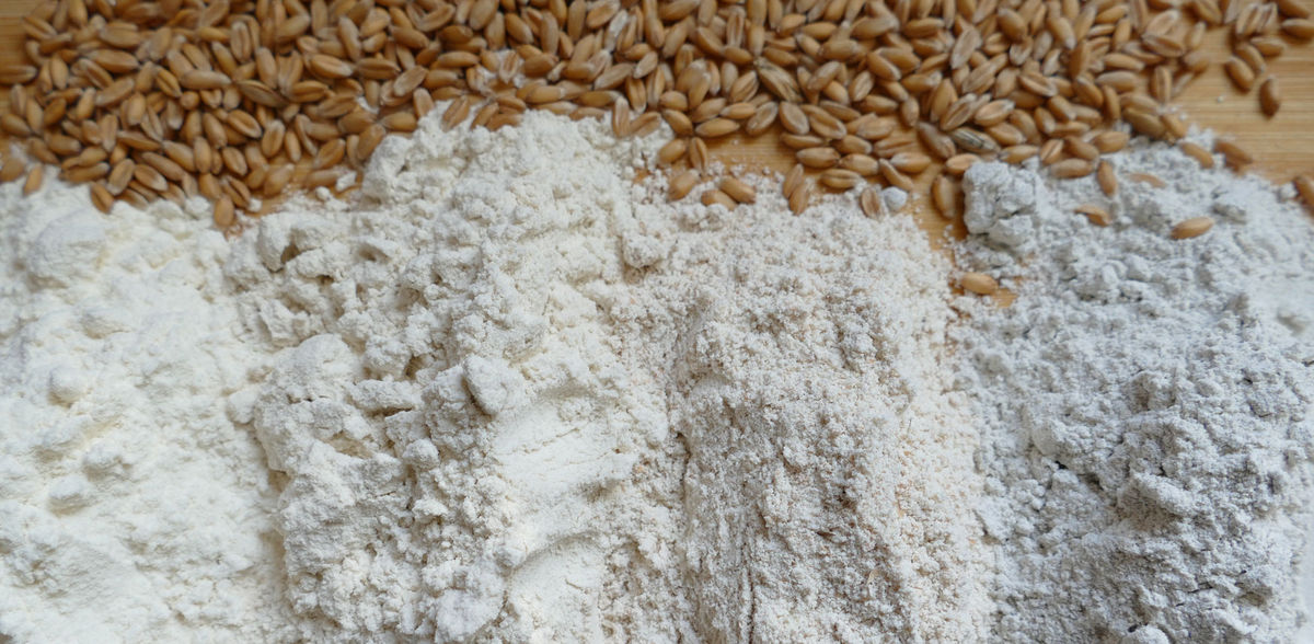 Universität Hohenheim / Friedrich Longin