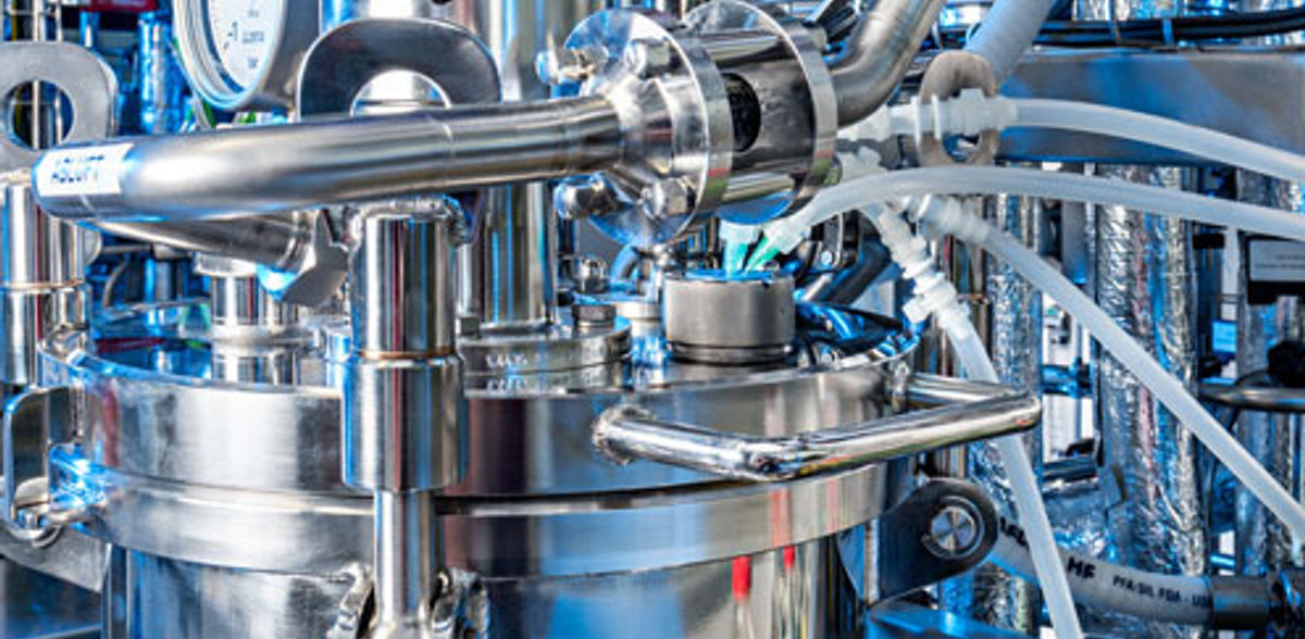 Agricultura celular para a alimentação do futuro