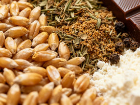 Des scientifiques de l'alimentation mettent au point un nouvel antimicrobien pour le nettoyage et l'assainissement des équipements de transformation des aliments secs