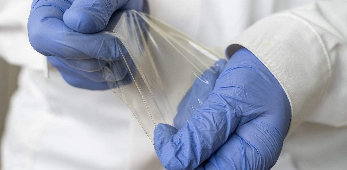 Películas y revestimientos fabricados con residuos que contienen quitina