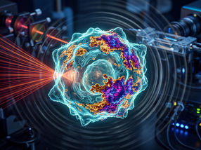 Lipidbestimmung: Chemischer Fingerabdruck statt Farbstoff