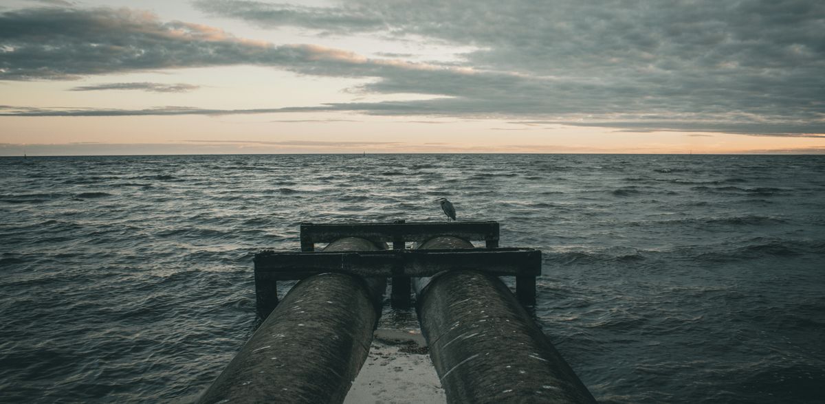 Copyright: Jennifer Simmons