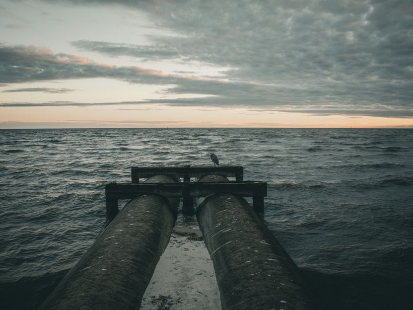 Capturing CO2 Using Wastewater: Hereon Study Demonstrates Industrial Potential - The process mimics natural carbonate weathering and could be scaled up globally without significant energy consumption.