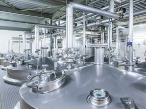 Safe ARA oils for Infant Formula: Cereulide removal possible