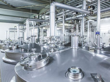 Huiles ARA sûres pour Infant Formula : élimination des céruléides possible