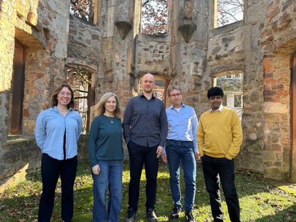 Scoperta la proteina chiave dell'udito