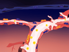 Primi passi verso la terapia cellulare per i disturbi cerebrali