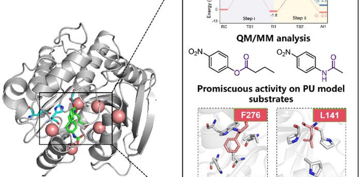 La scoperta di un enzima ingegnerizzato offre una soluzione sostenibile per il riciclaggio della plastica poliuretanica