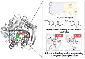 Technischer Durchbruch bei Enzymen bietet nachhaltige Lösung für das Recycling von Polyurethan-Kunststoffen