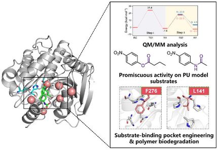 El avance de las enzimas de ingeniería ofrece una solución sostenible para el reciclado de plásticos de poliuretano