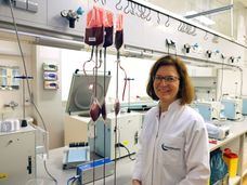 Sviluppato un nuovo processo per produrre plasma universale per tutti i gruppi sanguigni