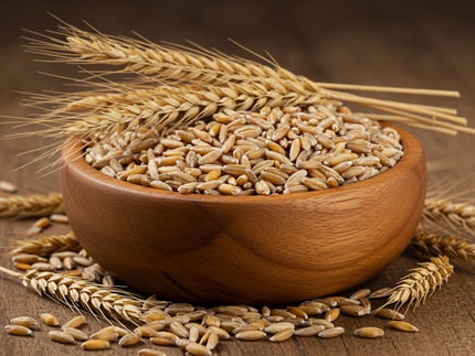 Espelta, espelta e einkorn - o termo "grão antigo" é enganador