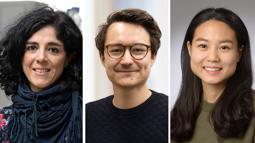 umg/frank stefan kimmel, umg/samer al mhethawi, privat