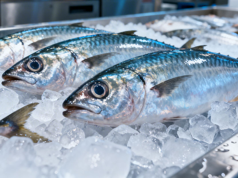 Wie frisch ist der Fisch? - Neues mathematisches Modell sagt die Frische in Echtzeit voraus