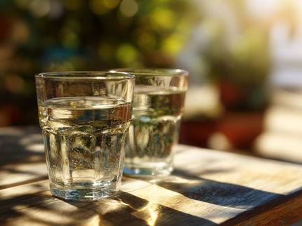 La Asociación de Calidad del Agua Mineral Ecológica elige una nueva dirección dual