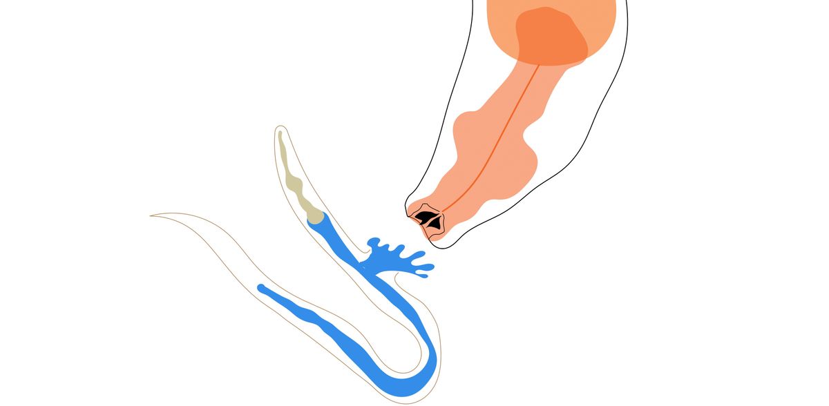 © Shiela Pearl Quiobe / Max-Planck-Institut für Biologie Tübingen