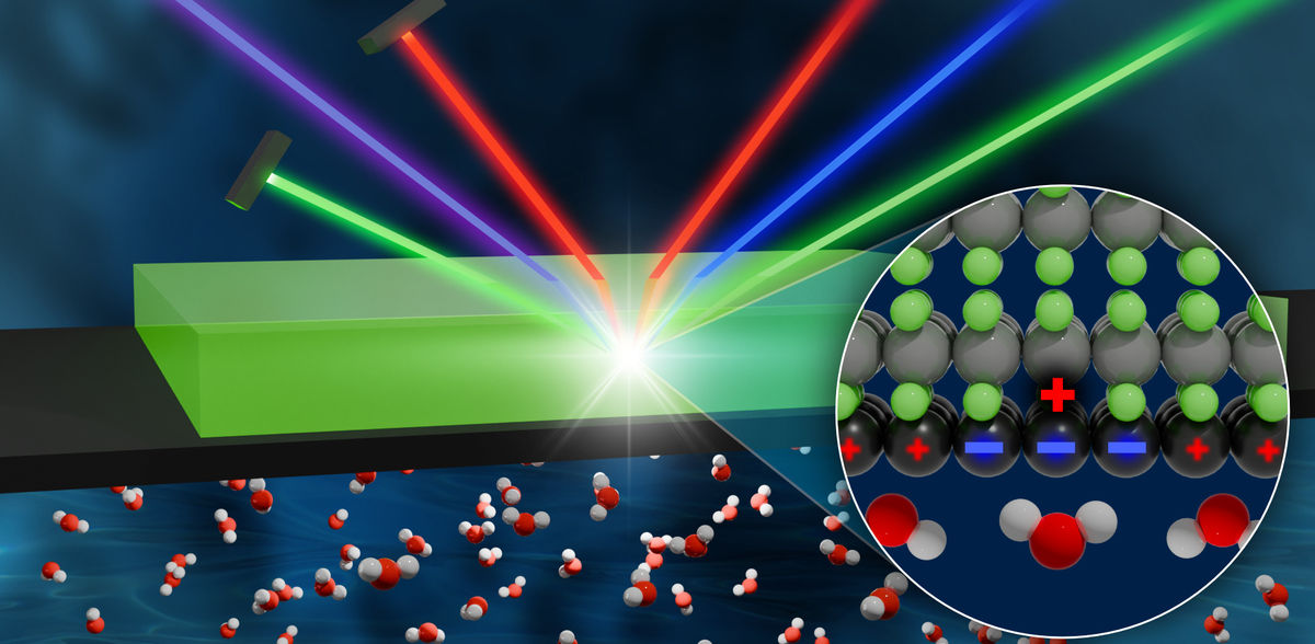 © Katharina Maisenbacher / MPI-P