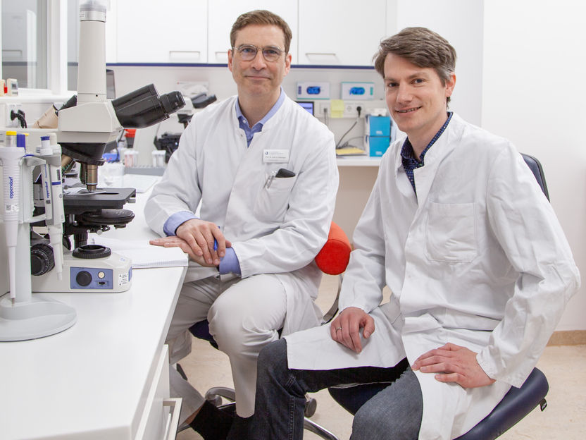 Artificial insemination: combination of bacteria could predict success - Common tests lack a basis