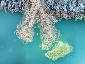 A fundamentally new therapeutic approach to cystic fibrosis: Nanobody repairs cellular defect