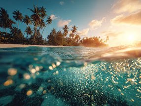 Reifenabrieb macht ein Drittel des Meeresplastiks aus: Forscher und Start-up entwickeln Lösungen gegen Mikroplastik