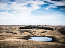 Eat less meat! Otto Gourmet founder in favor of regenerative agriculture