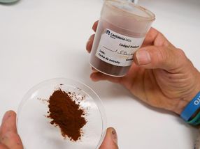 Más eficaces, duraderos y a partir de extractos naturales: así es la nueva generación de protectores solares