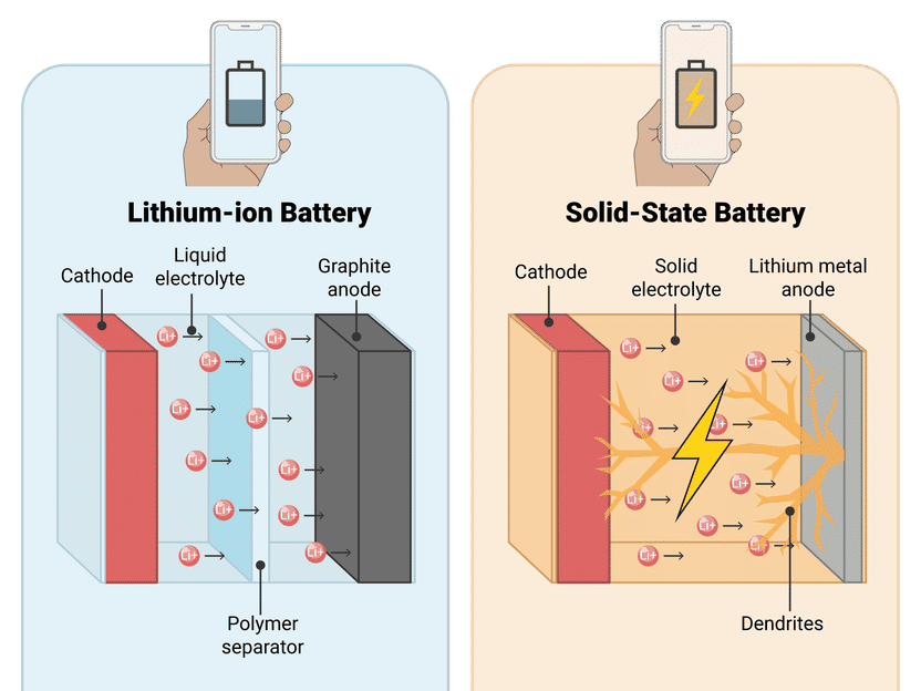 P. Mehta: Max-Planck-Institut für Nachhaltige Materialien GmbH