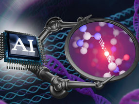 When molecules react: New software visualizes biological processes in motion