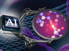 Quand les molécules réagissent : un nouveau logiciel permet de visualiser les processus biologiques en mouvement