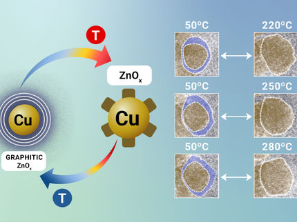 Der Katalysator, der nie zur Ruhe kommt