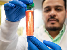 Cell factory for the immune system: New method makes macrophages scalable for research