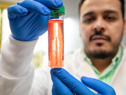 Cell factory for the immune system: New method makes macrophages scalable for research