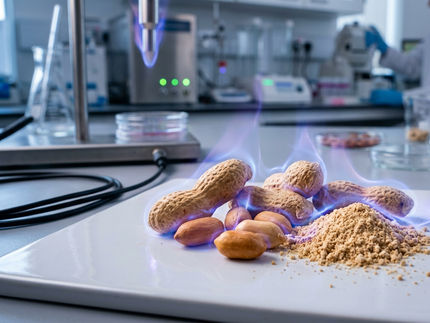 Une étude révèle que le traitement des arachides par plasma froid pourrait les rendre moins allergènes