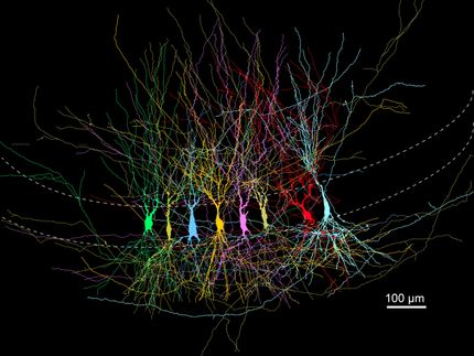 Les souvenirs se forment-ils à partir d'une ardoise vierge ?