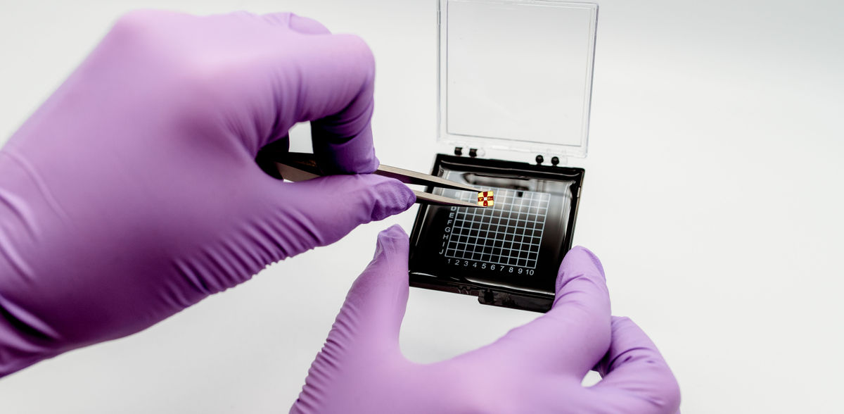 Romana Maalouf Photography