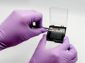 Polarluft und Tee: TUW-Erfindung macht Umweltschadstoffe messbar