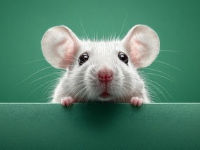 Improving animal welfare in the lab: AI helps better detect pain