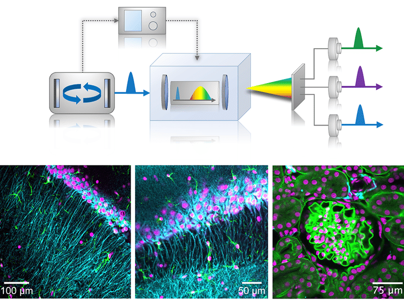 Marvin Edelmann, DESY